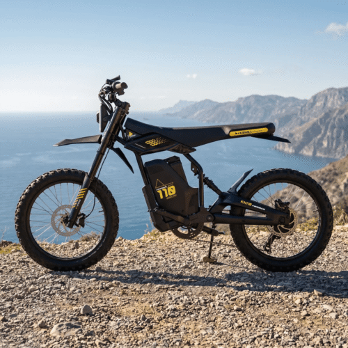 Vélo électrique KENE KN110 PRO