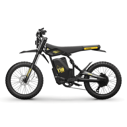 Vélo électrique KENE KN110 PRO